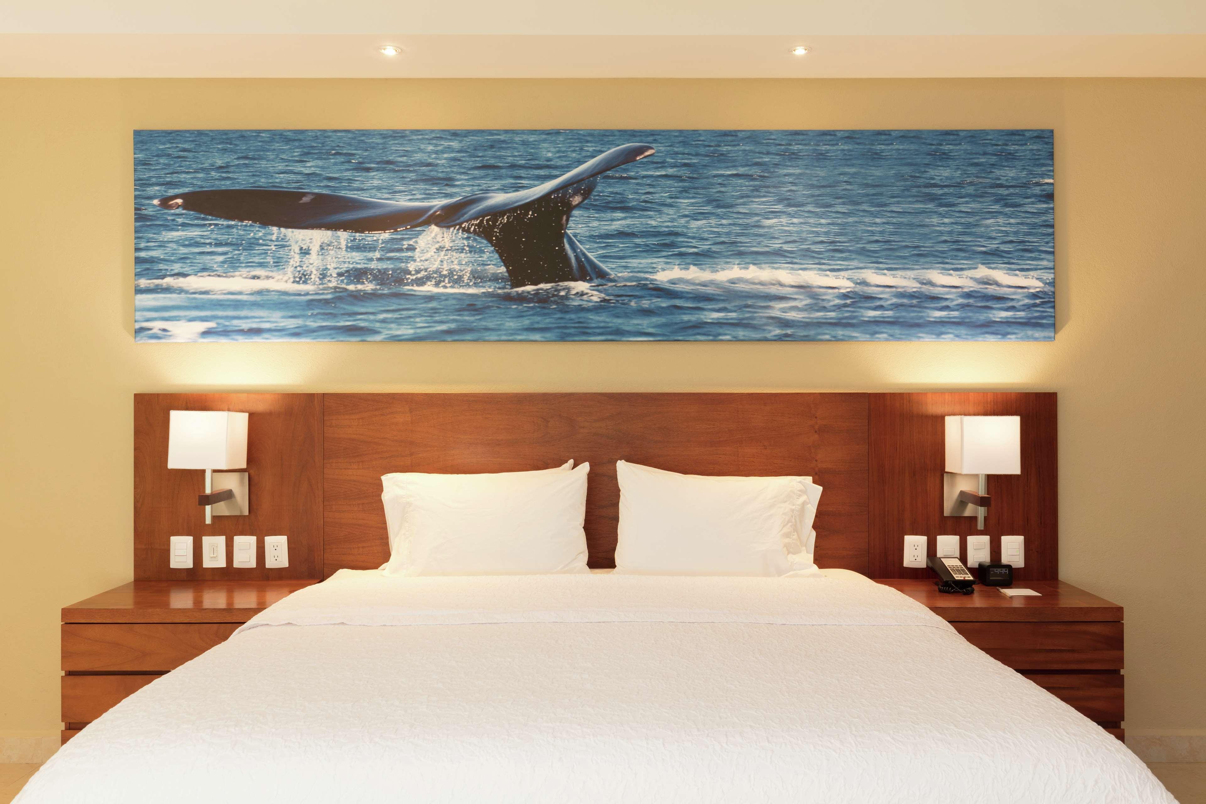 San José del Cabo Hampton Inn & Suites By Hilton Los Cabos מראה חיצוני תמונה